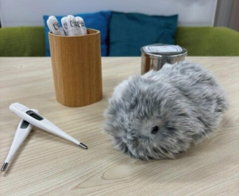 Moflin机器人
