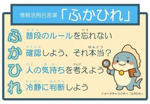 ふかひれ资料