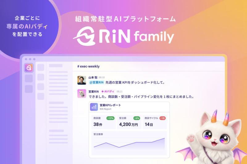 企业级AI平台RiN Family