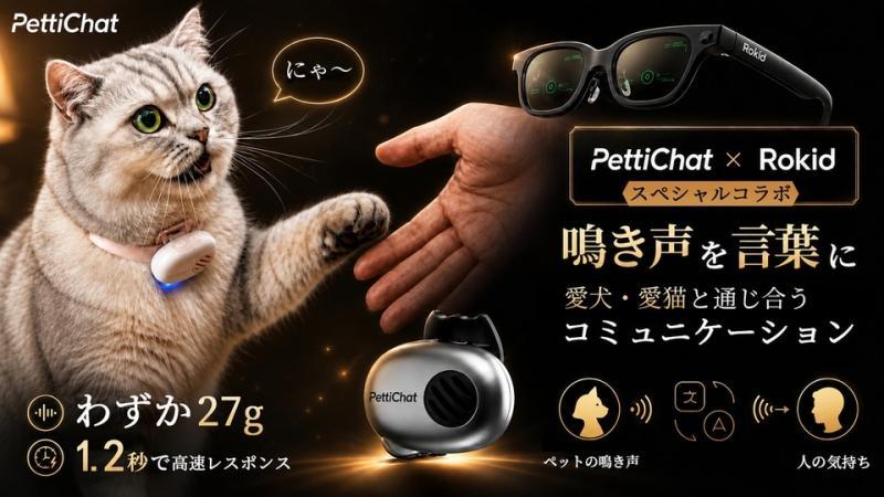 PettiChat设备