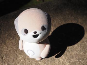 夏普“Poketomo SR-C01M”对话AI体验评测