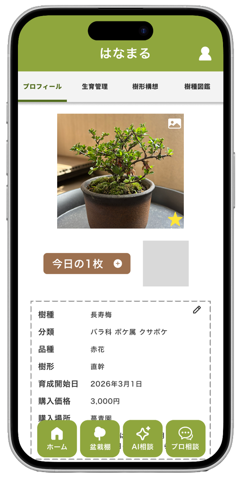 美学数据数据库构想