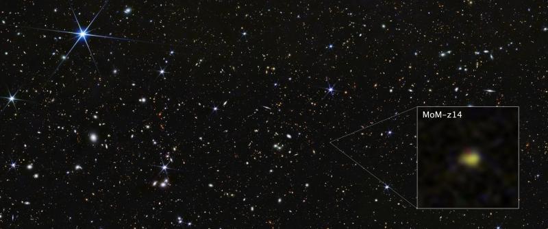 AI银河猎人加剧全球GPU紧缺