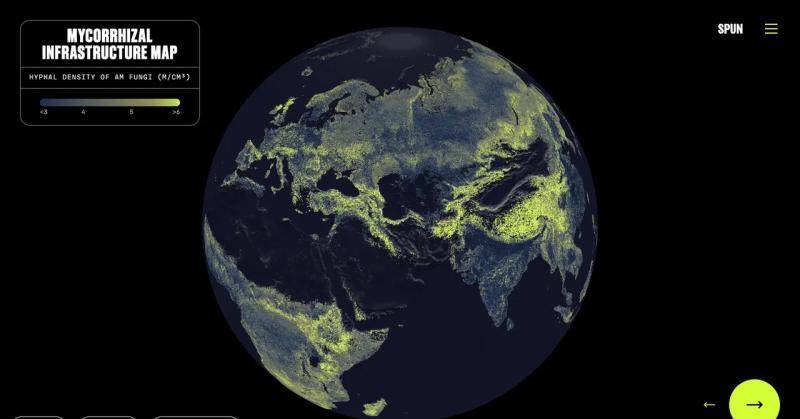 你脚下存在一个全球真菌网络：首张完整地图发布
