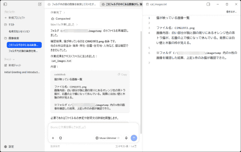 准确识别猫的照片