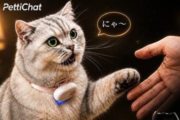 AI推测宠物心情，颈圈设备「PettiChat」将于9月25日开启预售