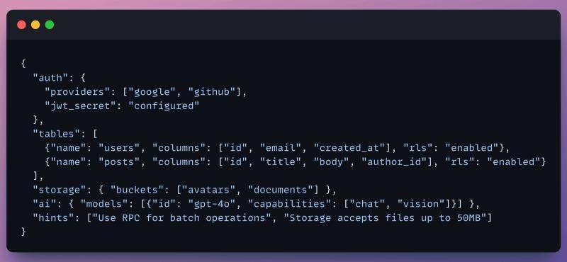 get_backend_metadata 输出示例