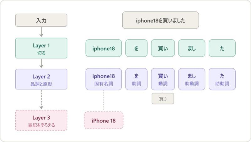训练过程
