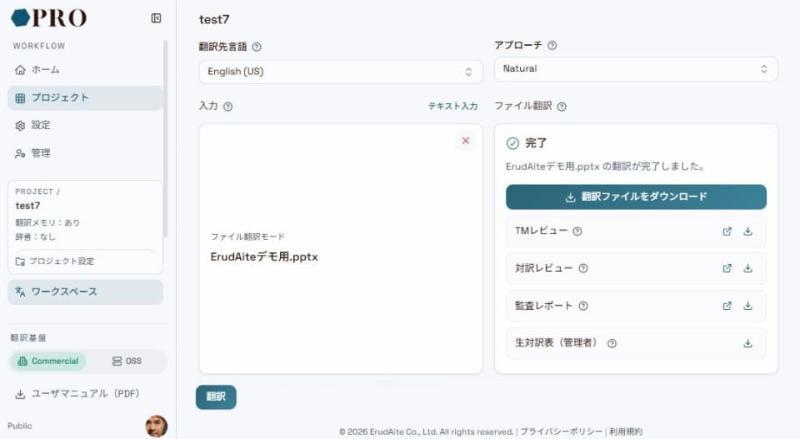 审计报告功能展示