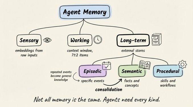 记忆巩固示意图