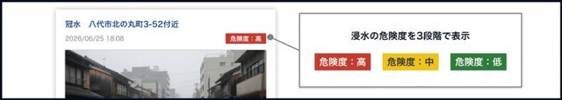 危险度评分示例