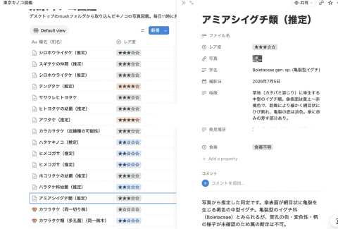 Notion数据库界面