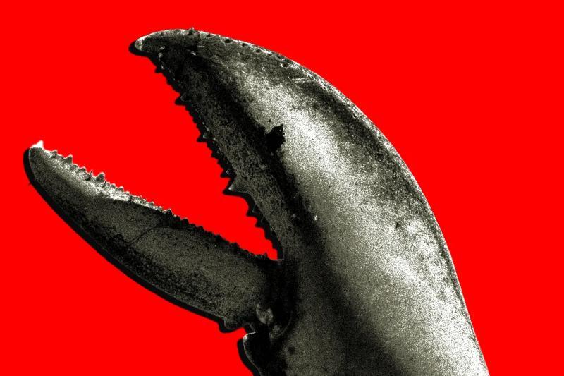 中国OpenClaw热潮引发AI企业掘金狂潮