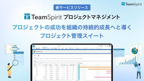 TeamSpirit项目管理界面