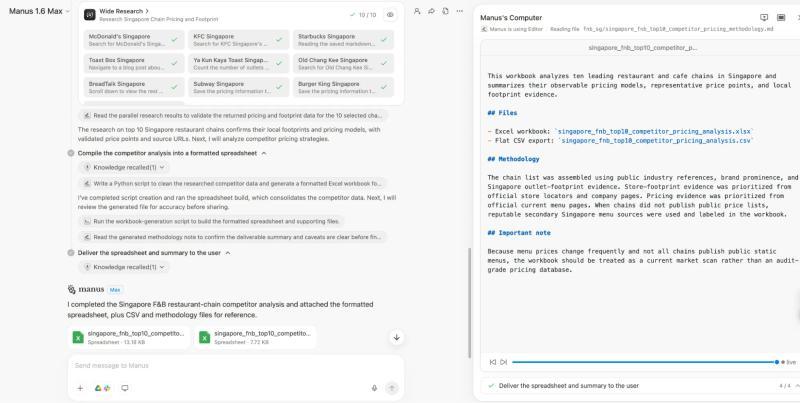 Manus AI user experience
