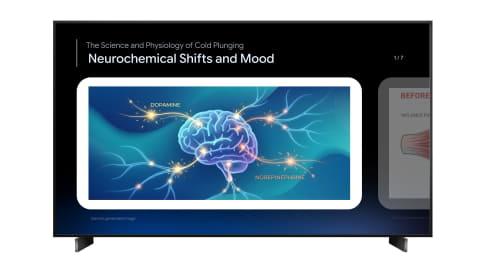 体育简报功能展示