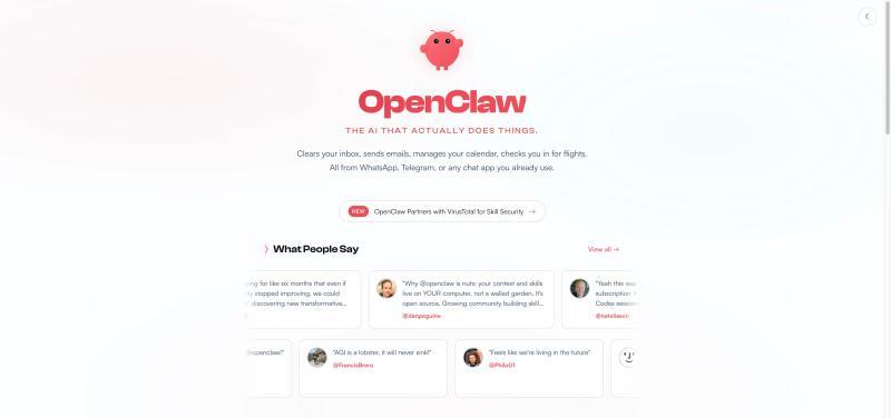 OpenClaw Terminal Interface