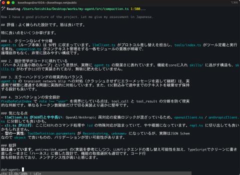 ds4-agent界面