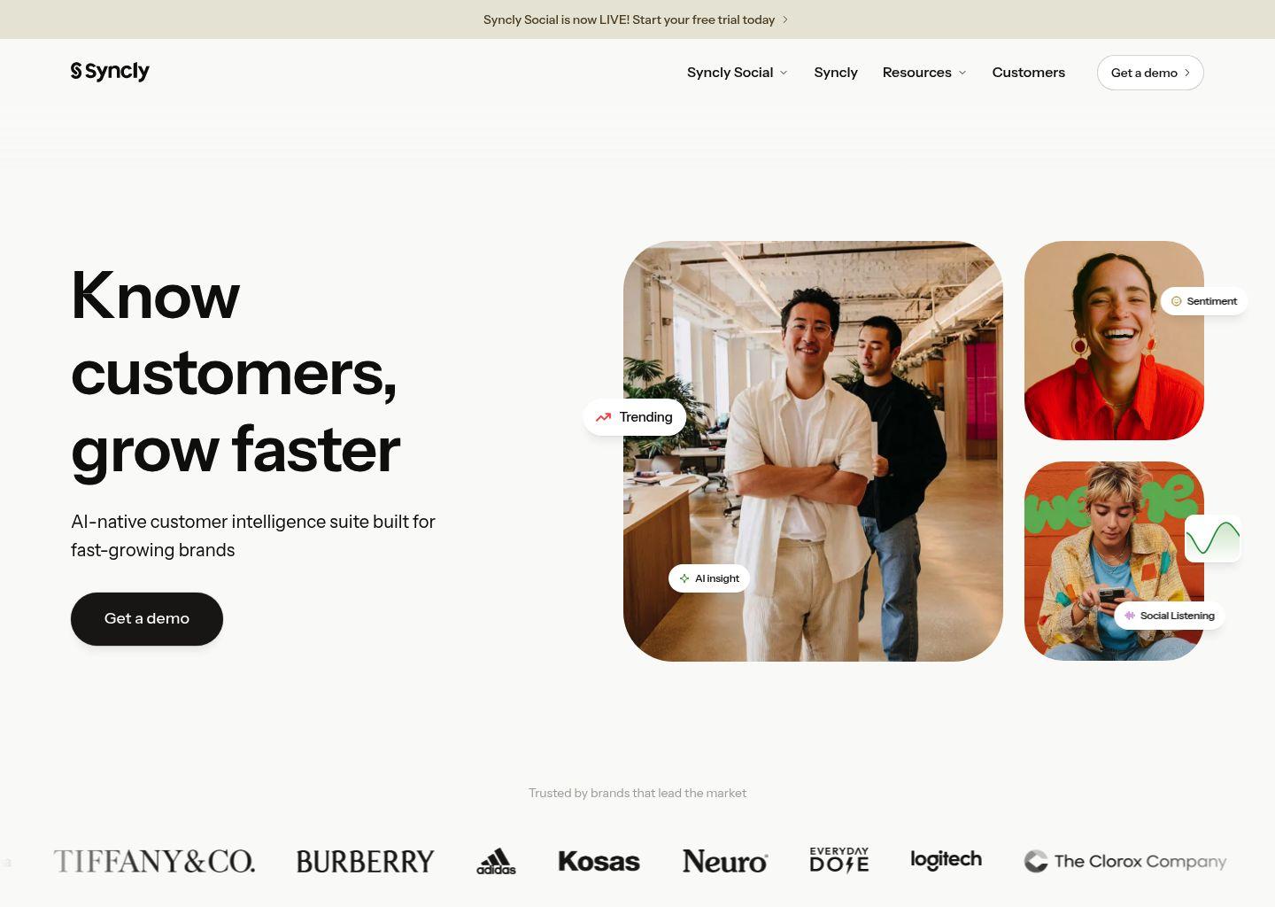 Syncly：AI 驱动的客户智能平台