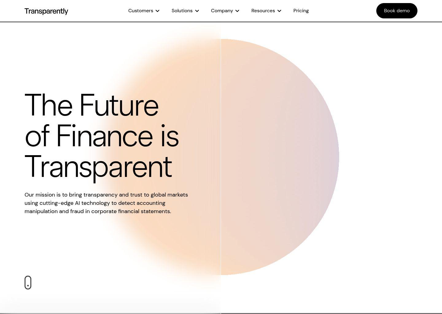 Transparently.AI 智能财务舞弊识别系统