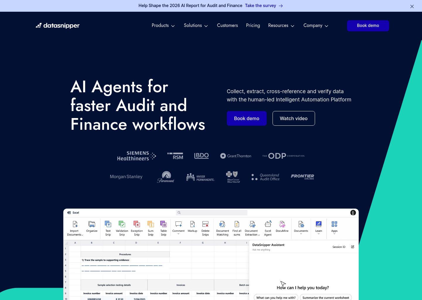 DataSnipper 智能自动化平台